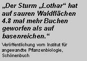 Textfeld: Der Sturm Lothar hat auf sauren Waldflchen 4.8 mal mehr Buchen geworfen als auf basenreichen.Verffentlichung vom Institut fr angewandte Pflanzenbiologie, Schnenbuch